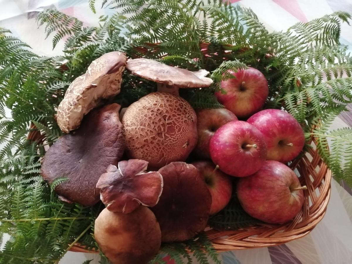 Argixti Sumbilla