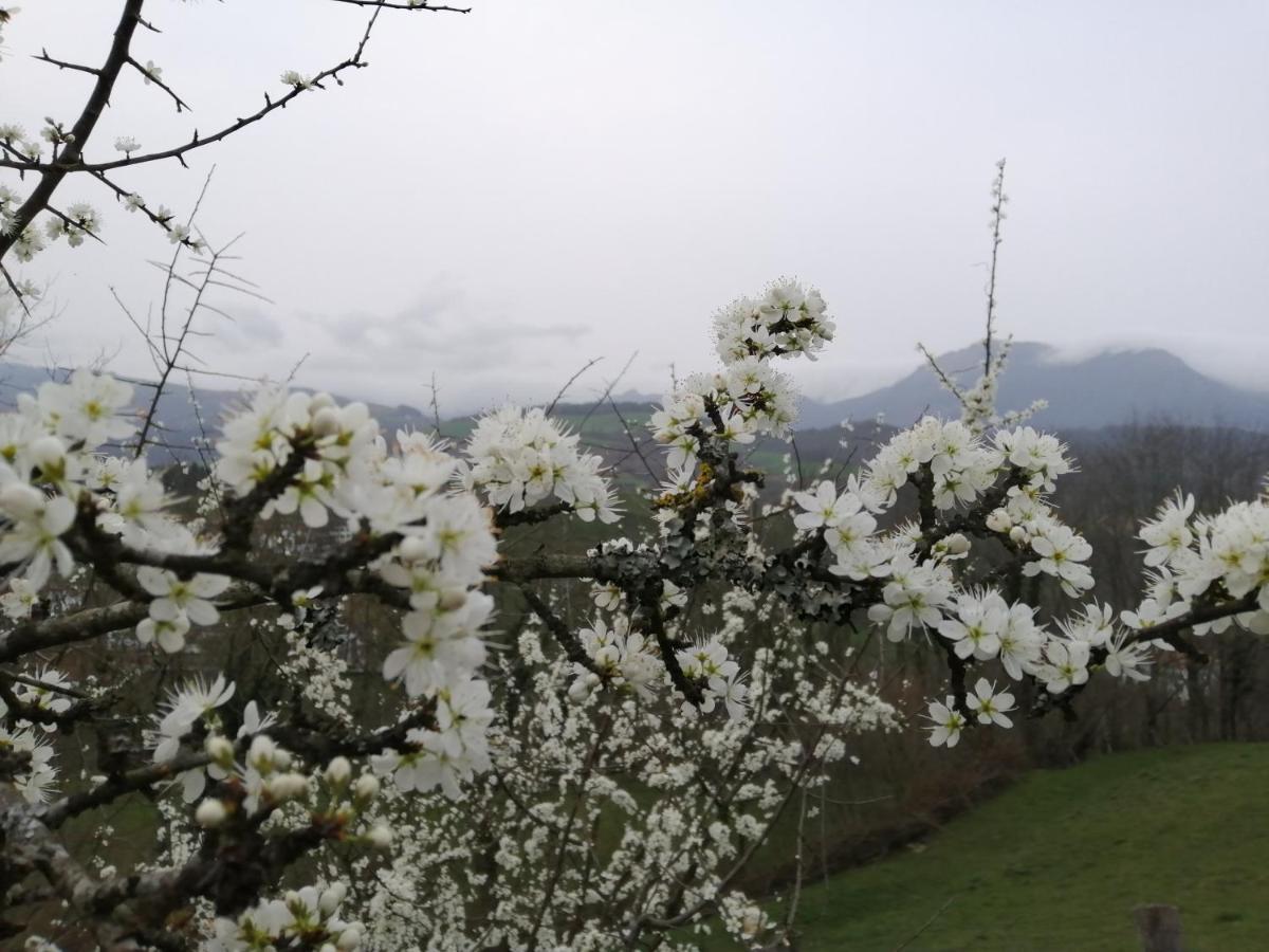 Argixti Séjour à la campagne *