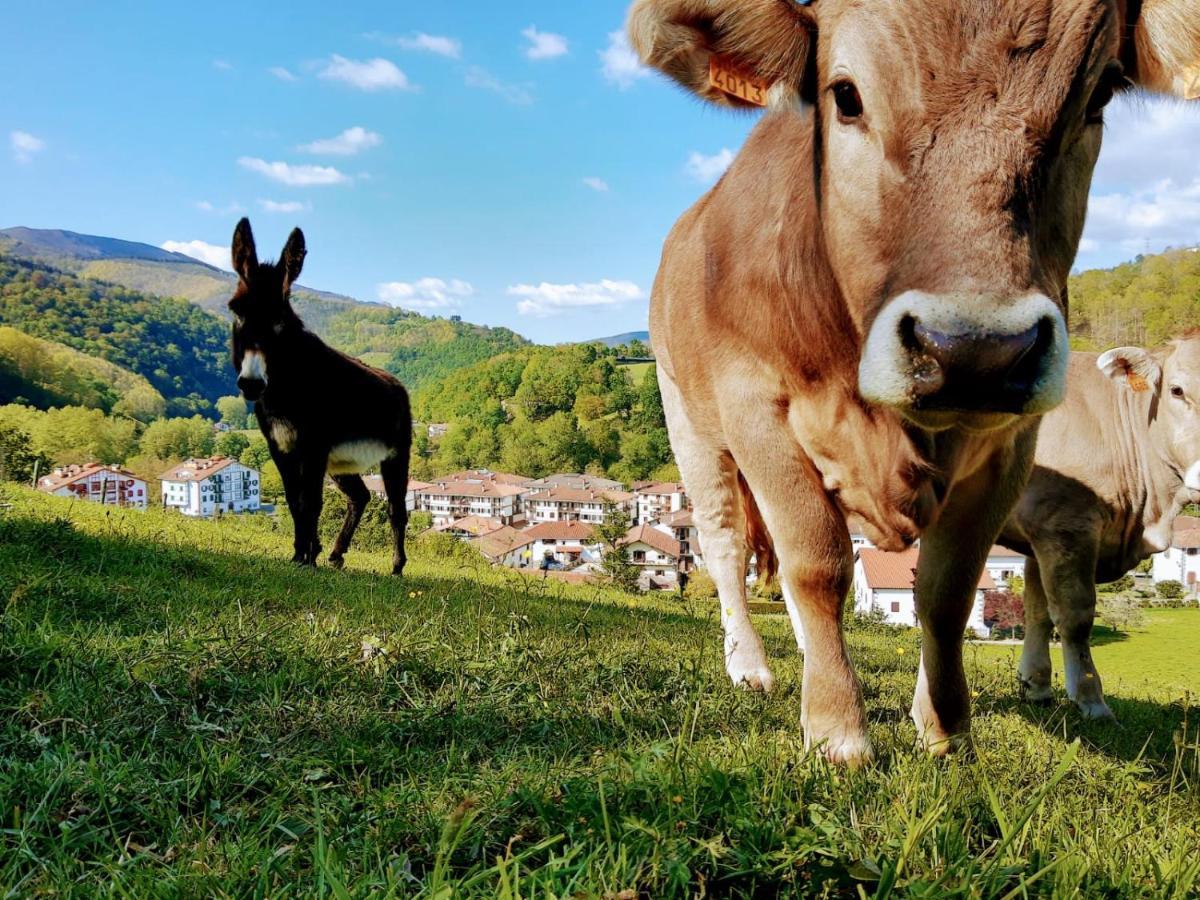 Séjour à la campagne Argixti