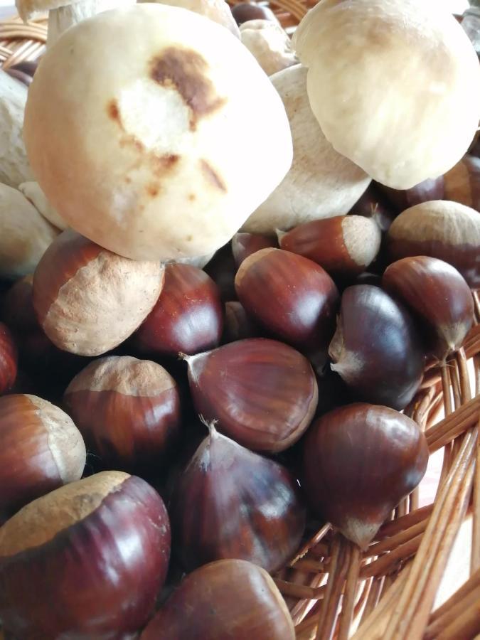 Argixti Séjour à la campagne *